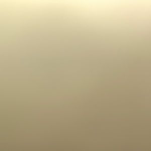 Meet your Posher, Shane